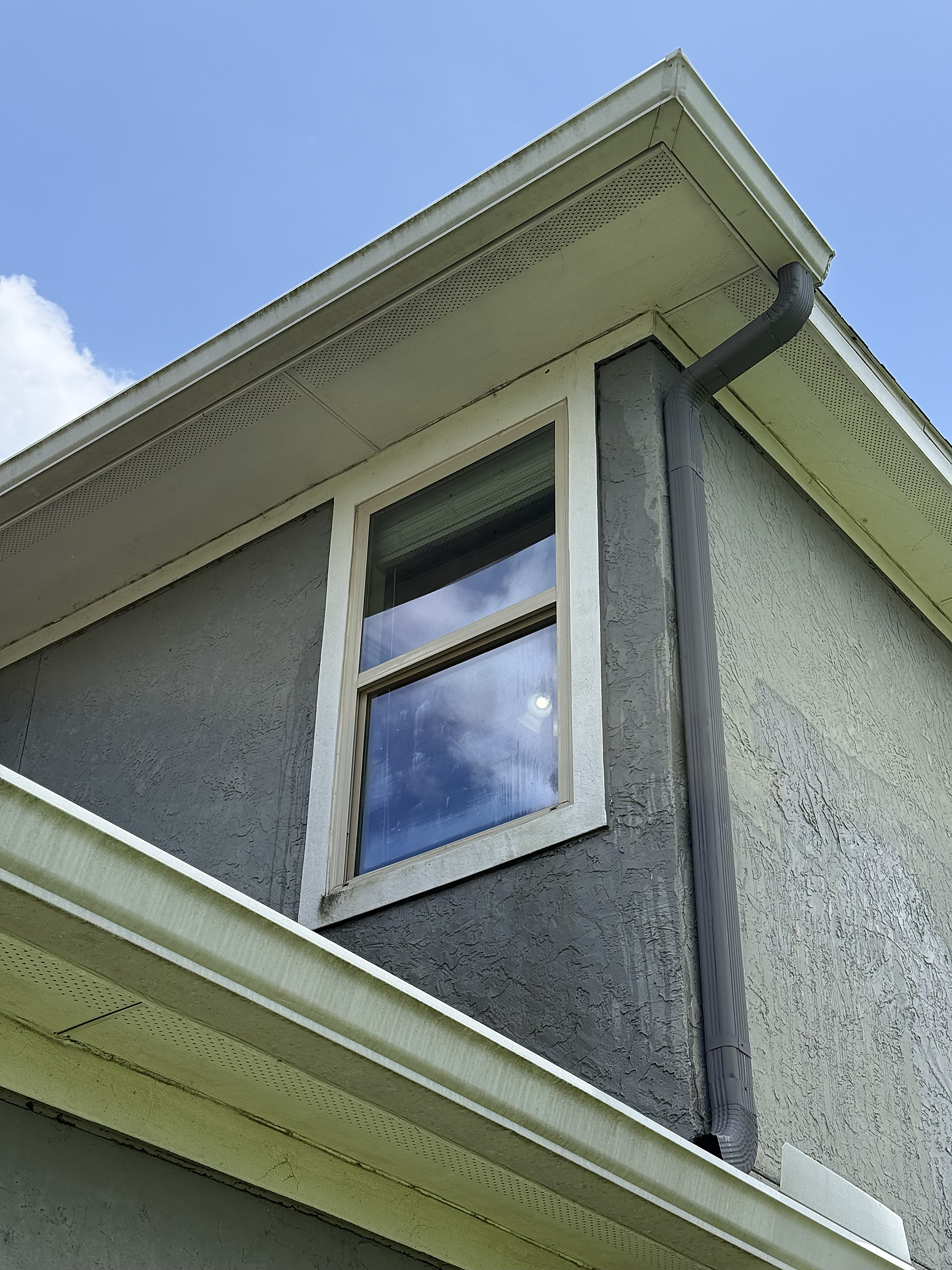 Exterior house washing detail